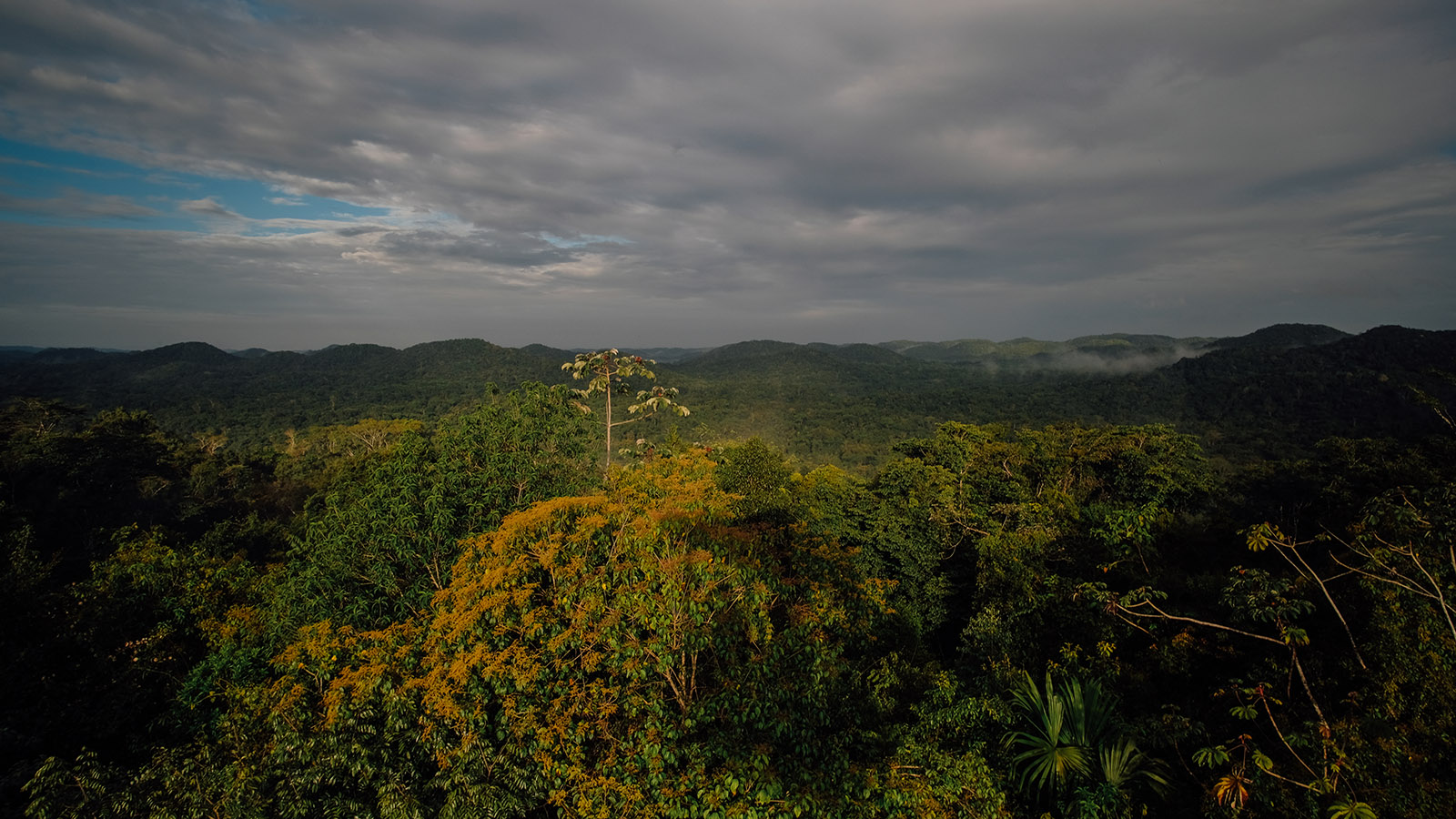 TENT’s Belize 2022 conference: “Celebrate, Collaborate, Conserve”