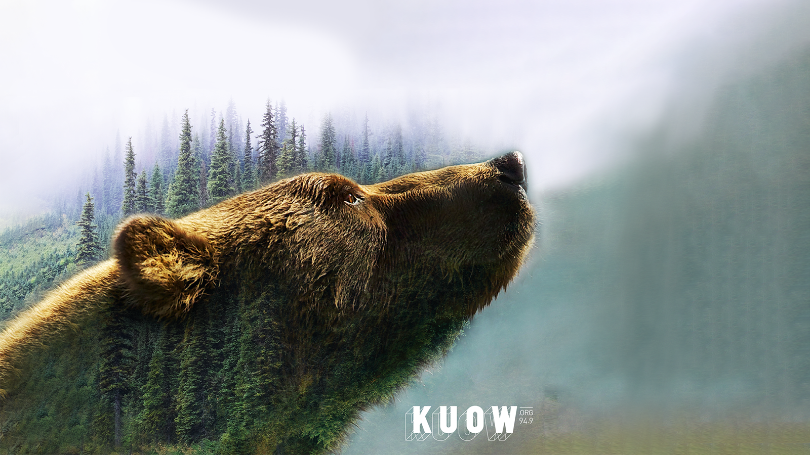 The Wild with Chris Morgan