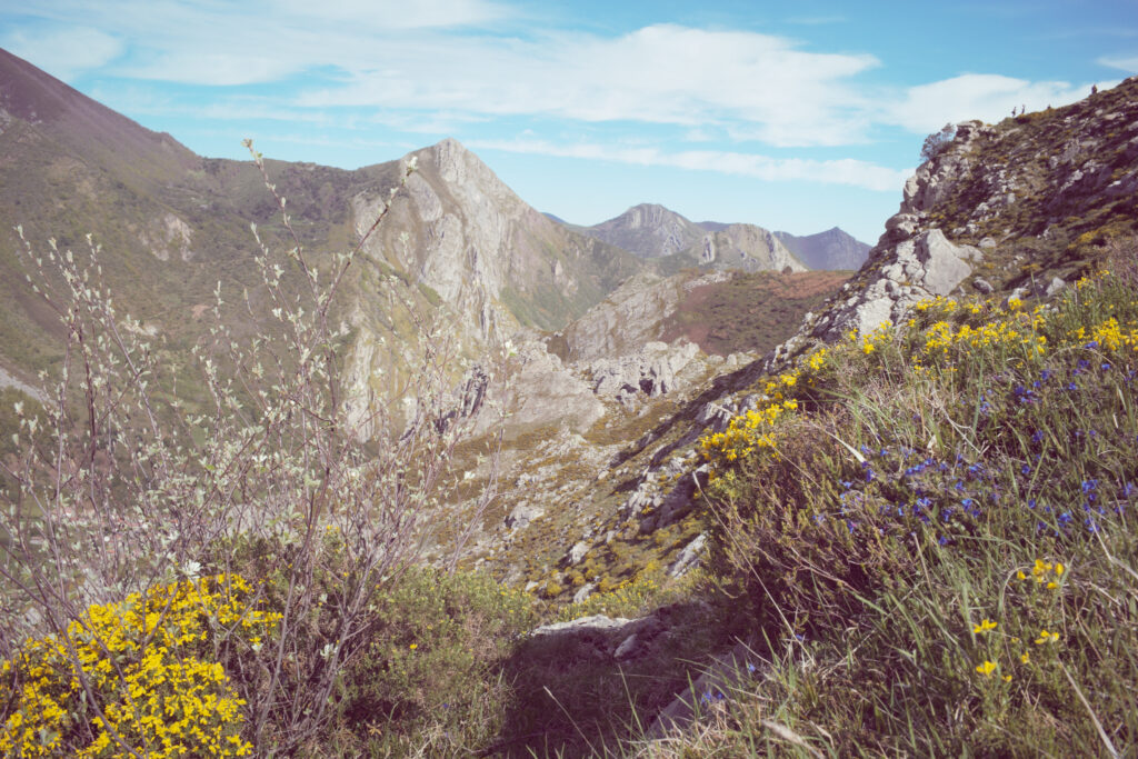 Hiking the wild highlands of Asturias, Spain's bear country