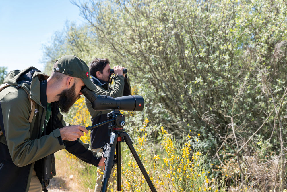 Rewilding Portugal's Ecosystems
