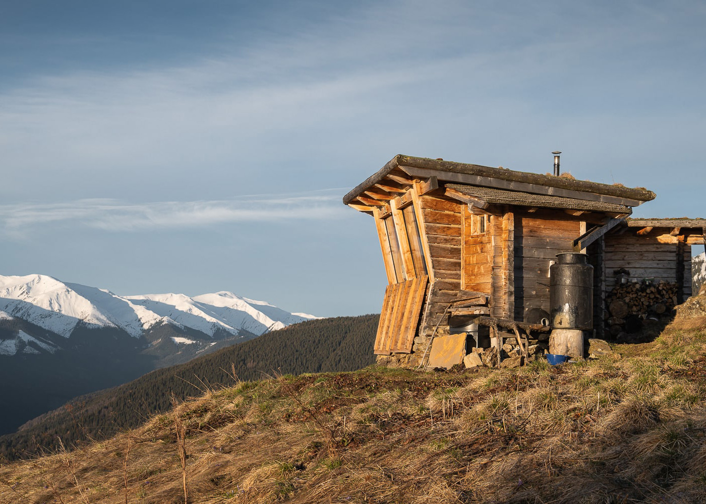 The Best Wildlife Watching Trips in Europe