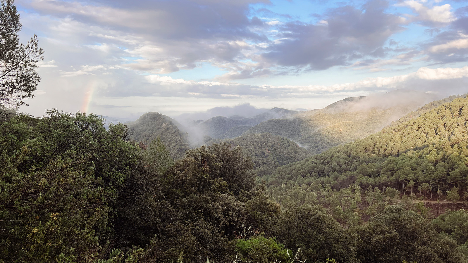 Regenerating Catalonia’s Muga Valley